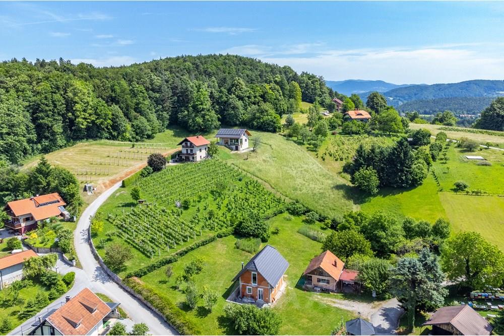 Wohnung - Hütte - Polzela, Savinjska - SI - DJI_0895.jpg - 490321076-13