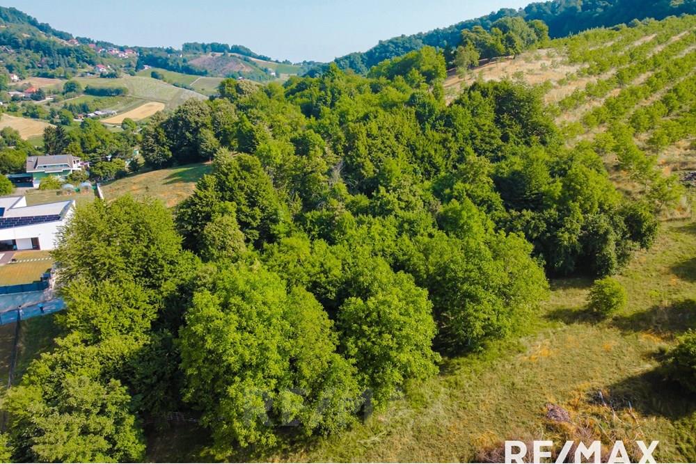 Wohnung - Bauland - Maribor, Podravje - SI - image00011.jpg - 490321067-38