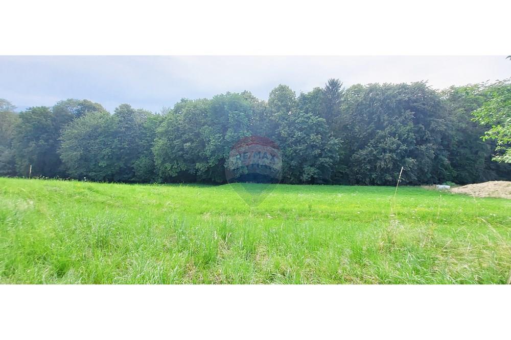 Wohnung - Bauland - Benedikt, Podravje - SI - 20220701_182055.jpg - 490321042-375