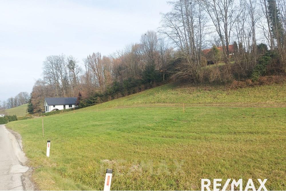 Wohnung - Bauland - Sladki Vrh, Podravje - SI - 20251201_115907.jpg - 490321042-398