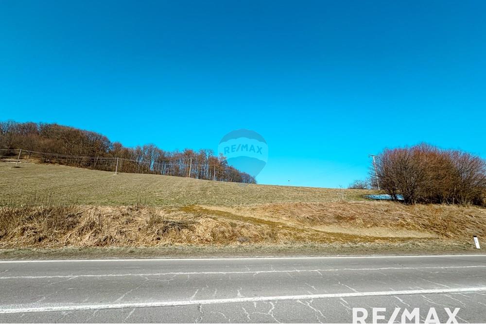 Wohnung - Bauland - Pesnica, Podravje - SI - IMG_3163.jpg - 490321063-73