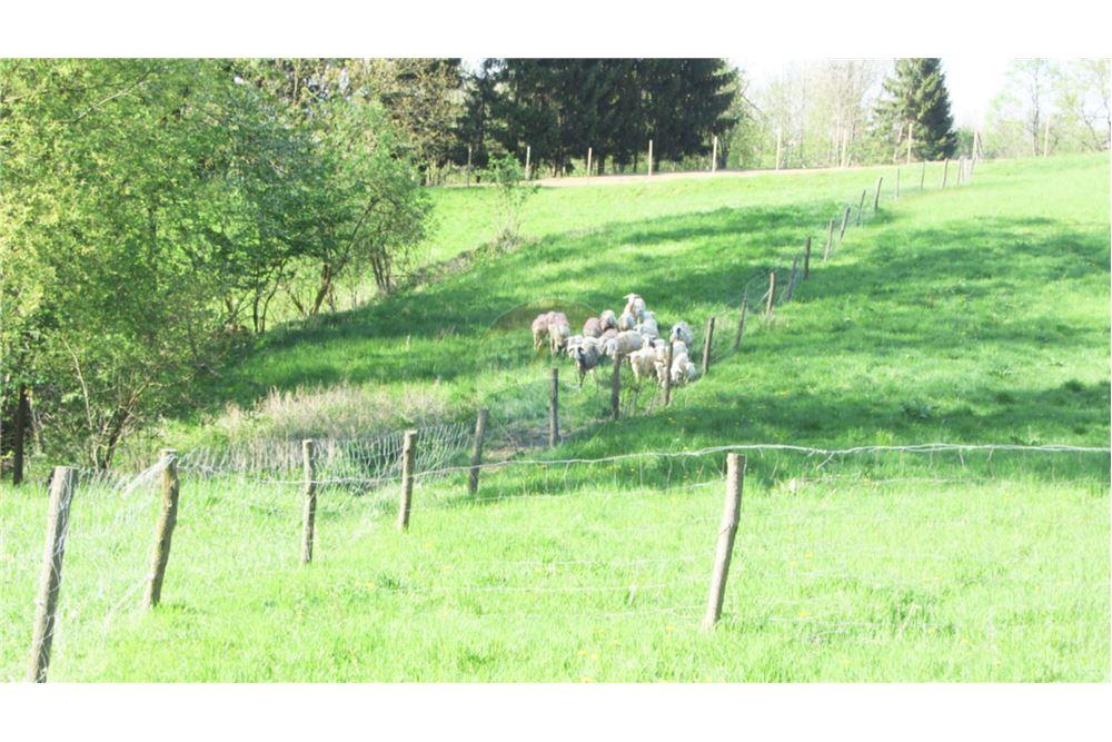 Wohnung - Boerderij - Zgornja Velka, Podravje - SI - 33 - 490321042-396
