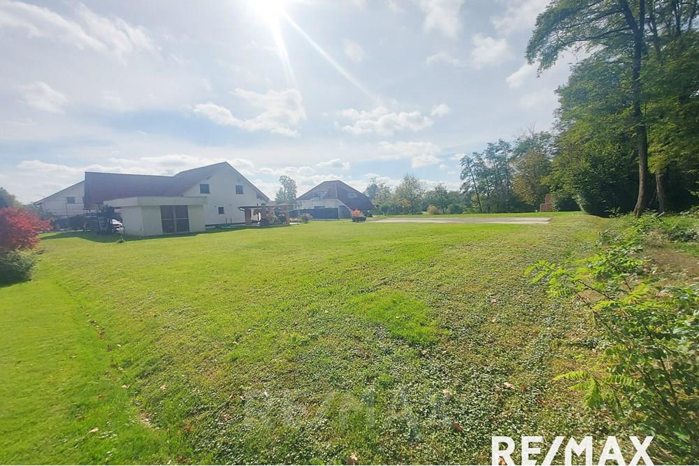 Wohnung - Bauland - Ptuj, Podravje - SI - 20251010_112829.jpg - 490321042-394