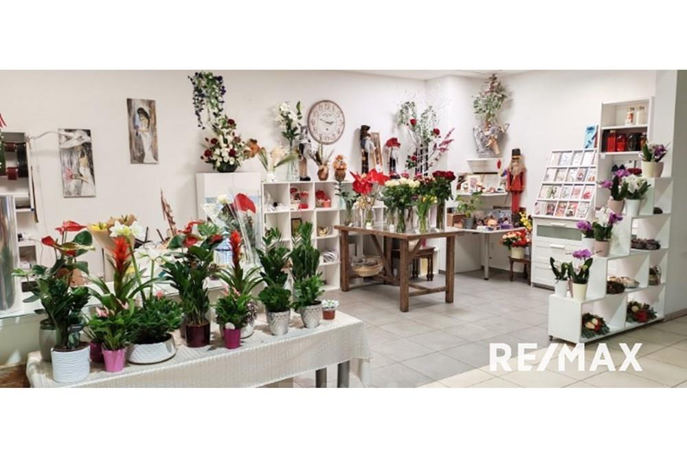 Commercieel - Laden/Einzelhandel - Pesnica, Podravje - SI - image000003004.jpg - 490321042-402