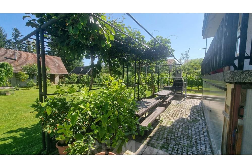 Wohnung - Hütte - Hoče - Slivnica, Podravje - SI - 20250621_161237.jpg - 490321050-70