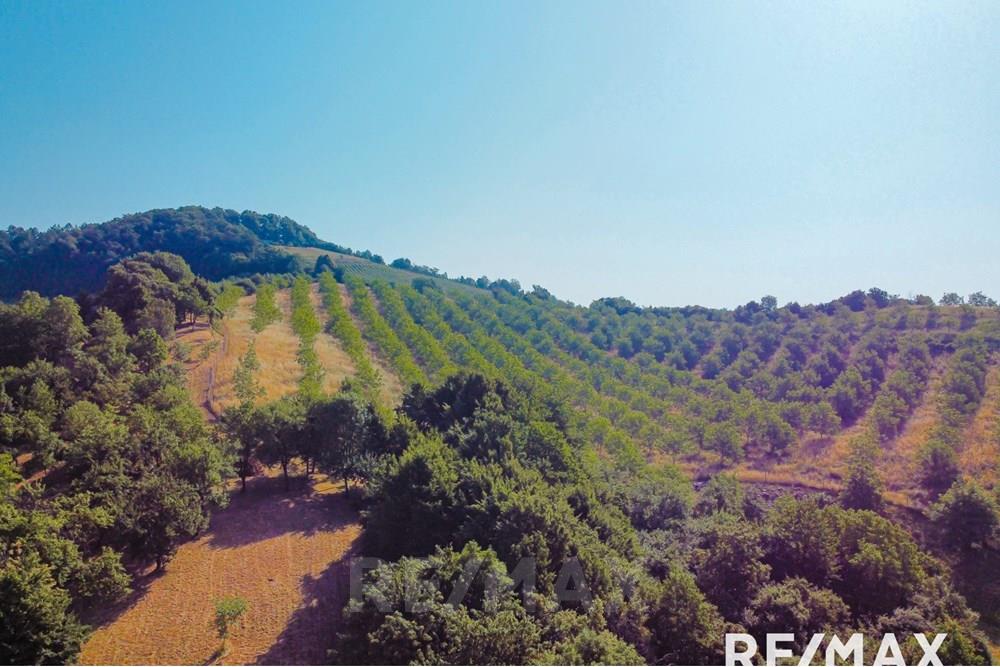 Wohnung - Bauland - Maribor, Podravje - SI - image00016.jpg - 490321067-38