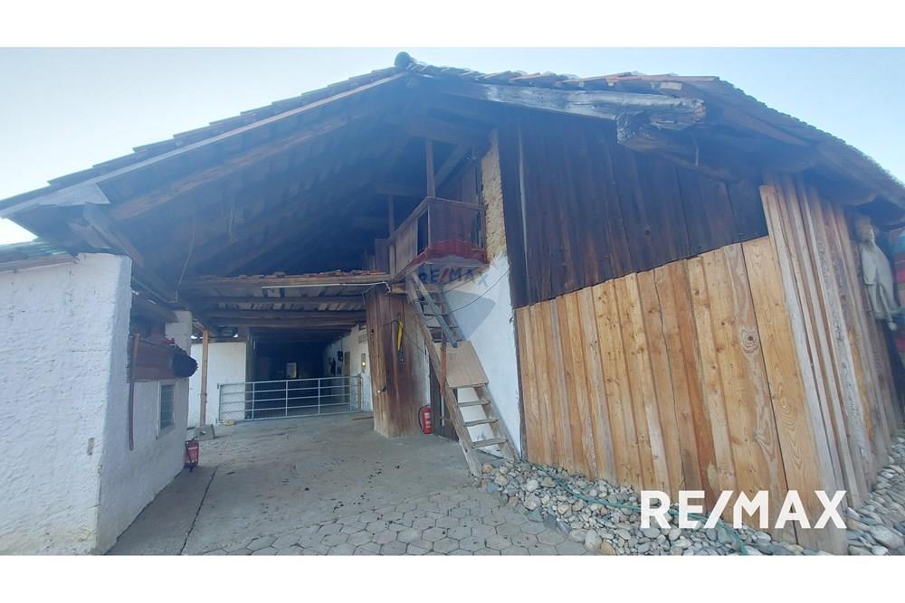 Wohnung - Hütte - Zgornji Duplek, Podravje - SI - 20250220_160840.jpg - 490321042-376