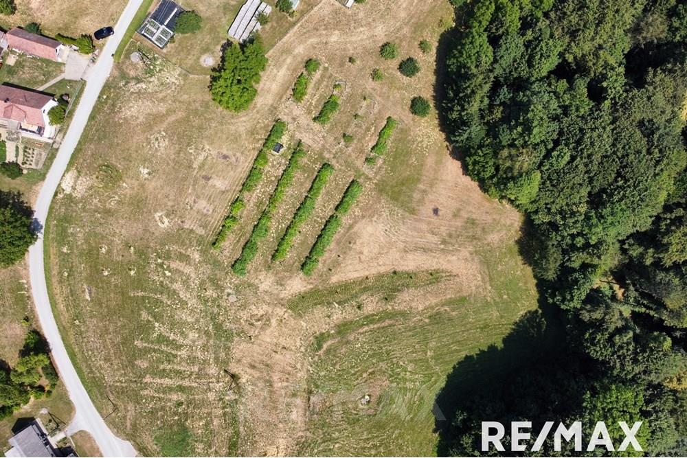 Wohnung - Bauland - Sv. Ana v Slovenskih goricah, Podravje - SI - dji_fly_20250626_111334_183_1750929343732_photo_optimized.jpg - 490321068-117