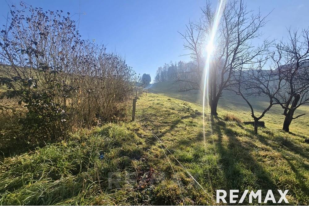 Wohnung - Bauerwartungsland - Pesnica, Podravje - SI - PHOTO-2025-12-18-11-50-53 2.jpg - 490321062-284
