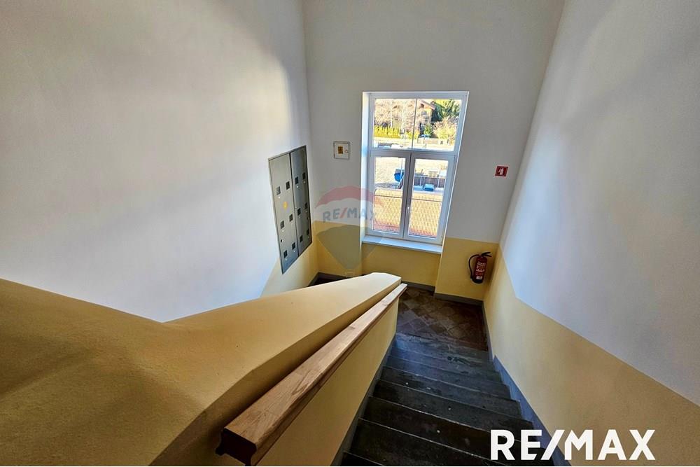 Wohnung - Wohnung - Maribor, Podravje - SI - 20250303_163317.jpg - 490321044-421