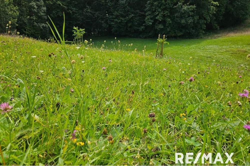 Wohnung - Bauland - Sv. Ana v Slovenskih goricah, Podravje - SI - 4.jpeg - 490321068-117