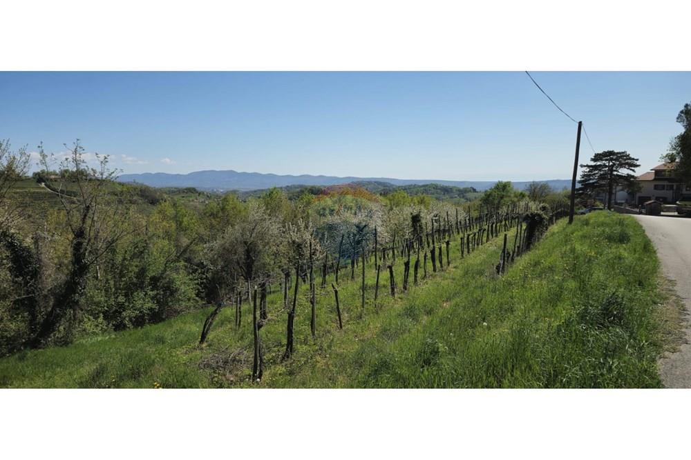 Residential - Plot of Land for Hospitality Development - Brda, North Primorska region - SI - IMG-20250407-WA0009.jpg - 490371006-124