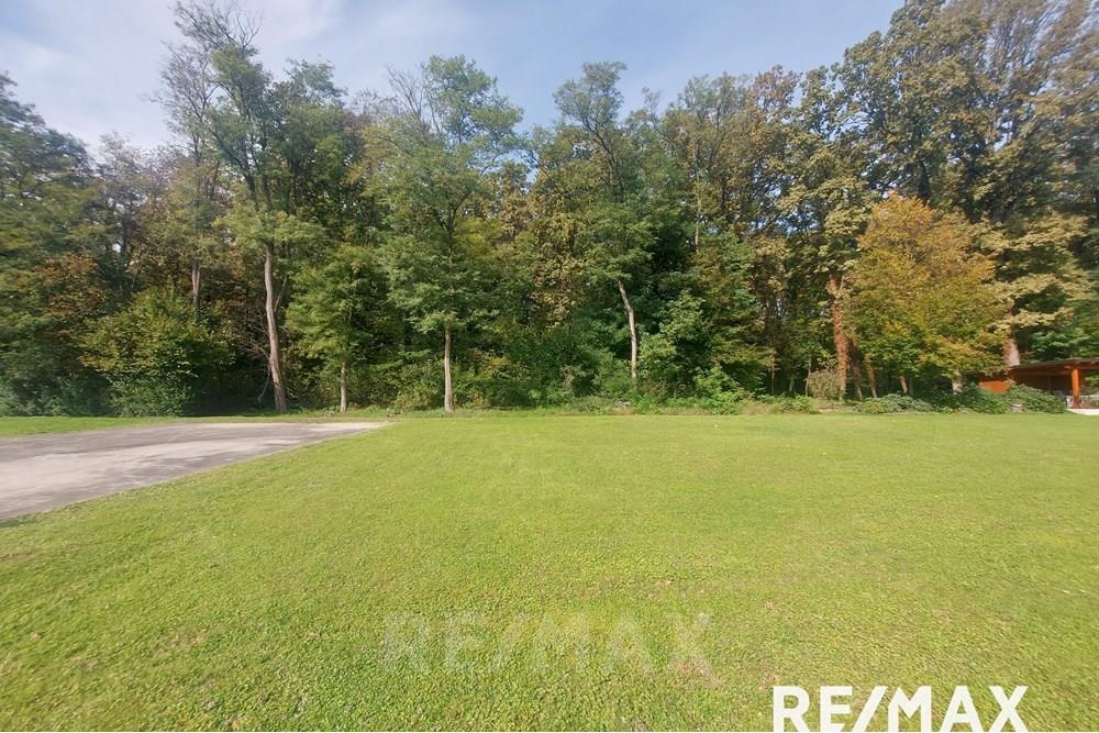 Wohnung - Bauland - Ptuj, Podravje - SI - 20251010_112611.jpg - 490321042-394