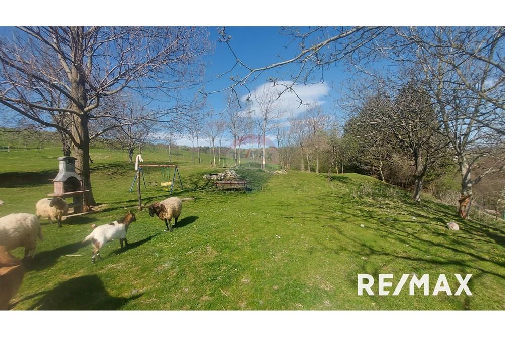 Wohnung - Hütte - Zgornji Duplek, Podravje - SI - 20250411_152511.jpg - 490321042-376