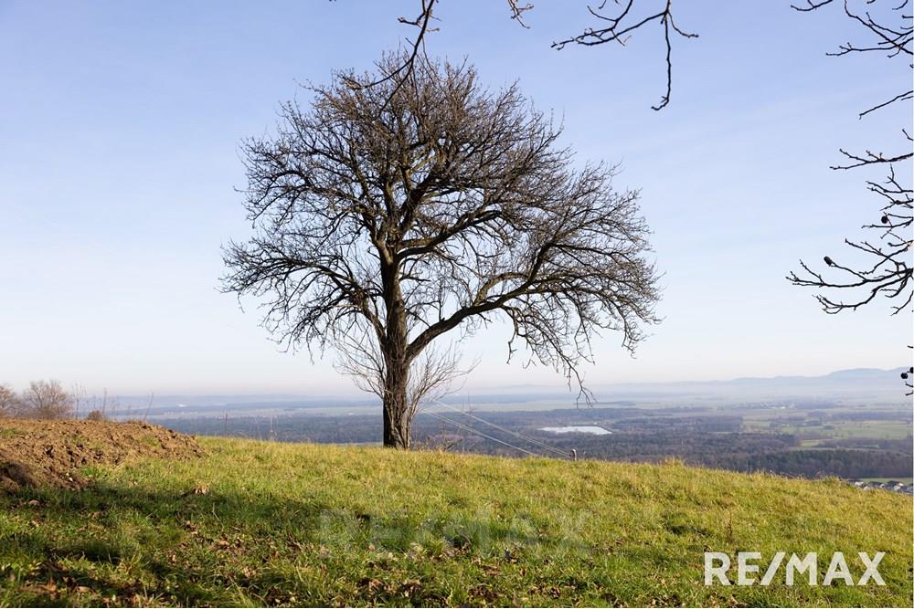 住宅 - 酒店开发用地 - Zgornja Polskava, Podravje - SI - REMAX Bukovec-18.jpg - 490321064-90