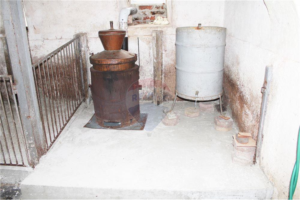 Wohnung - Boerderij - Zgornja Velka, Podravje - SI - 37 - 490321042-396