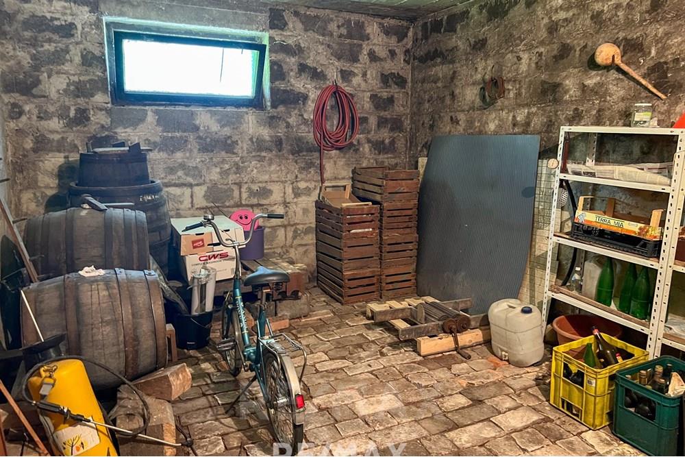 Wohnung - Hütte - Miklavž na Dravskem polju, Podravje - SI - IMG_2841.jpg - 490321067-26