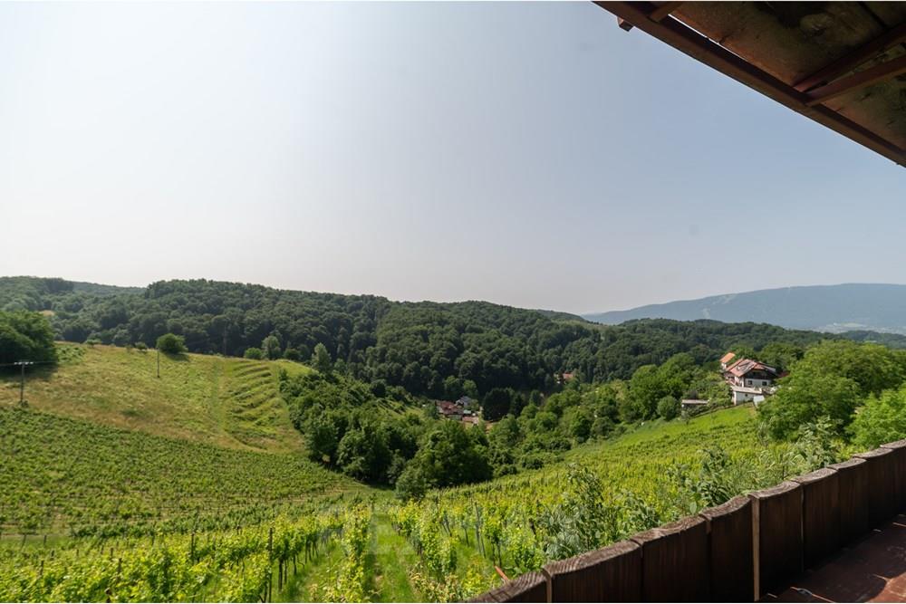 住宅 - 公寓/单元房 - Kamnica, Podravje - SI - DSC_1400.jpg - 490321076-12