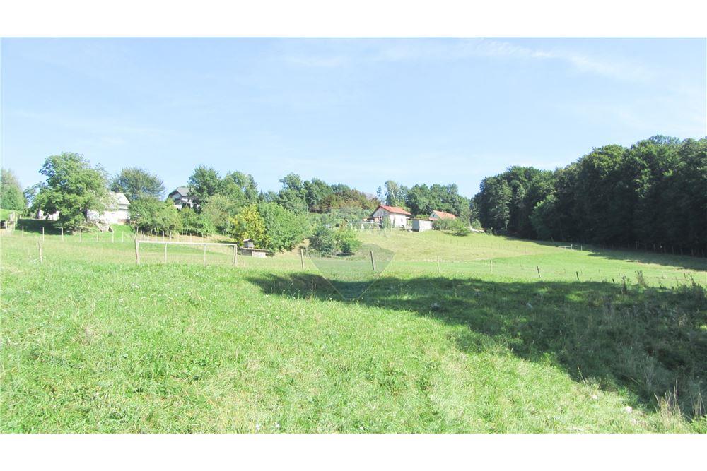 Wohnung - Boerderij - Zgornja Velka, Podravje - SI - 29 - 490321042-396