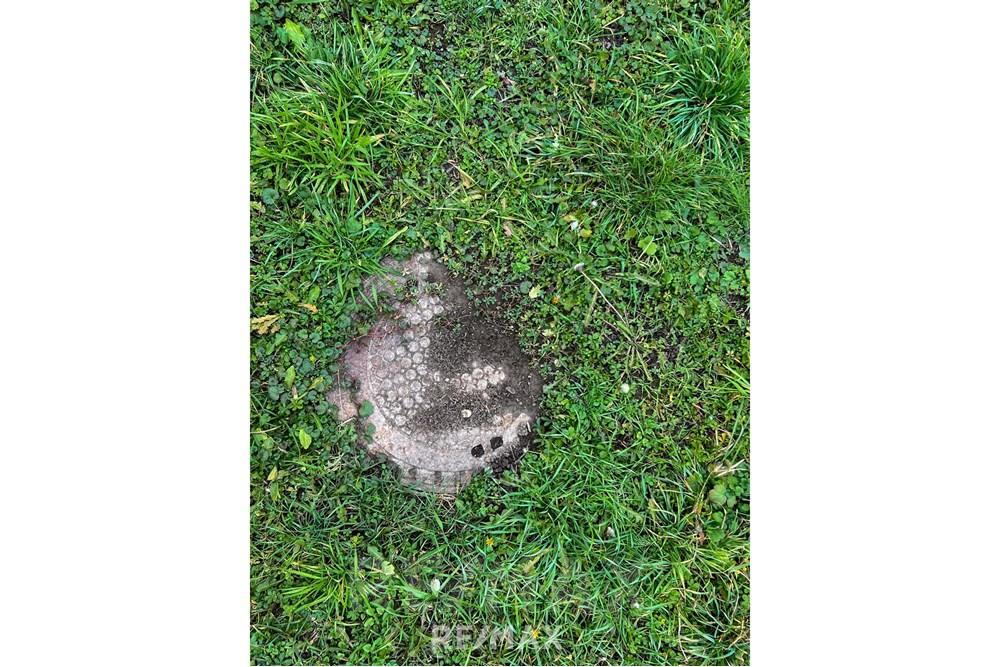 住宅 - 小屋 - Lendava, Pomurje - SI - IMG_0577.jpg - 490321067-27