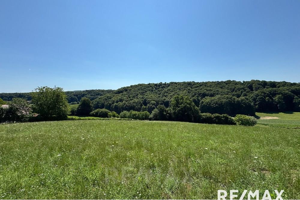 Wohnung - Bauland - Zgornja Korena, Podravje - SI - IMG_5163.jpg - 490321069-145