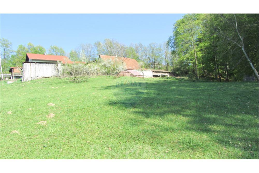 Wohnung - Boerderij - Zgornja Velka, Podravje - SI - 30 - 490321042-396