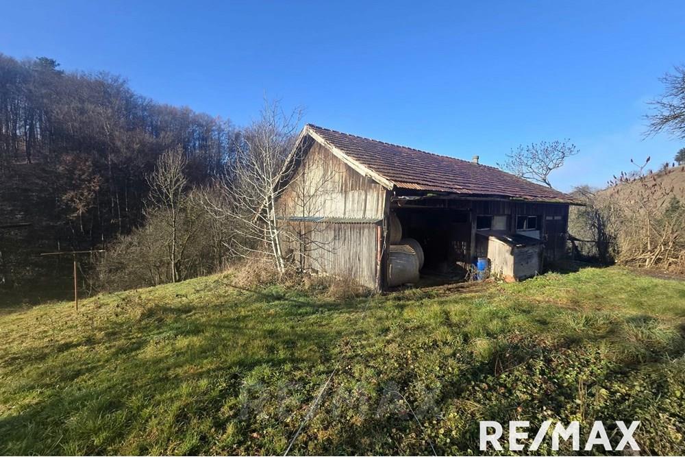 Wohnung - Bauerwartungsland - Pesnica, Podravje - SI - PHOTO-2025-12-18-11-50-52 3.jpg - 490321062-284