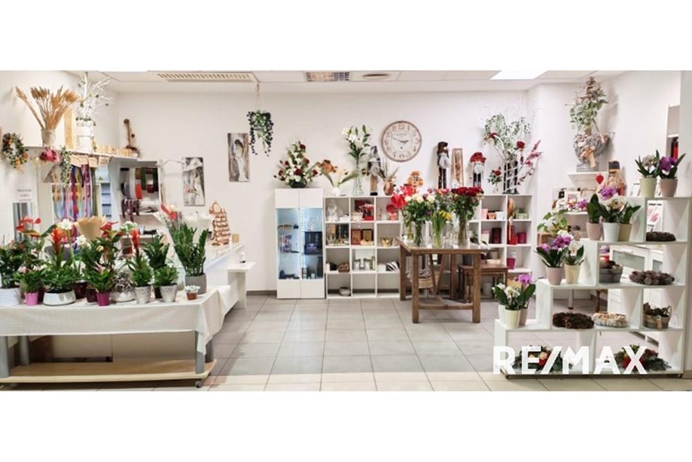 Commercieel - Laden/Einzelhandel - Pesnica, Podravje - SI - image000001009.jpg - 490321042-402