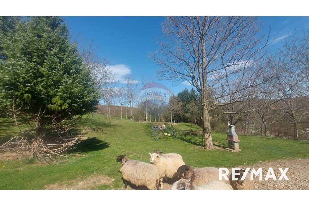 Wohnung - Hütte - Zgornji Duplek, Podravje - SI - 20250411_152353.jpg - 490321042-376