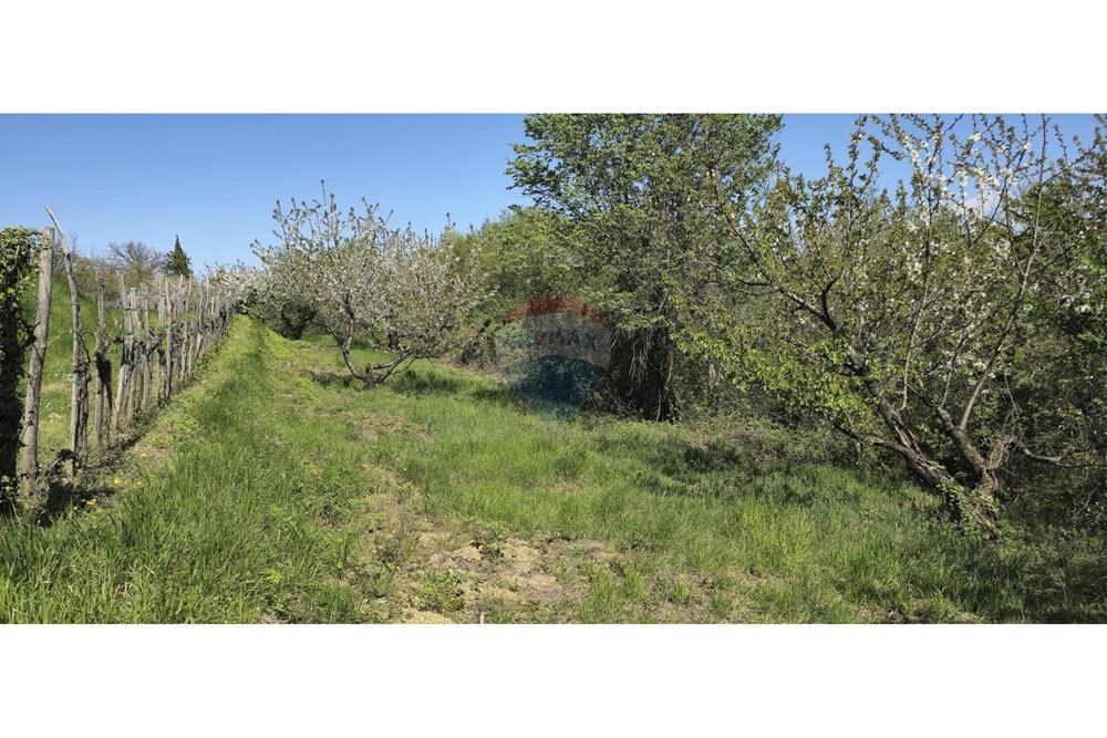 Residential - Plot of Land for Hospitality Development - Brda, North Primorska region - SI - IMG-20250407-WA0013.jpg - 490371006-124