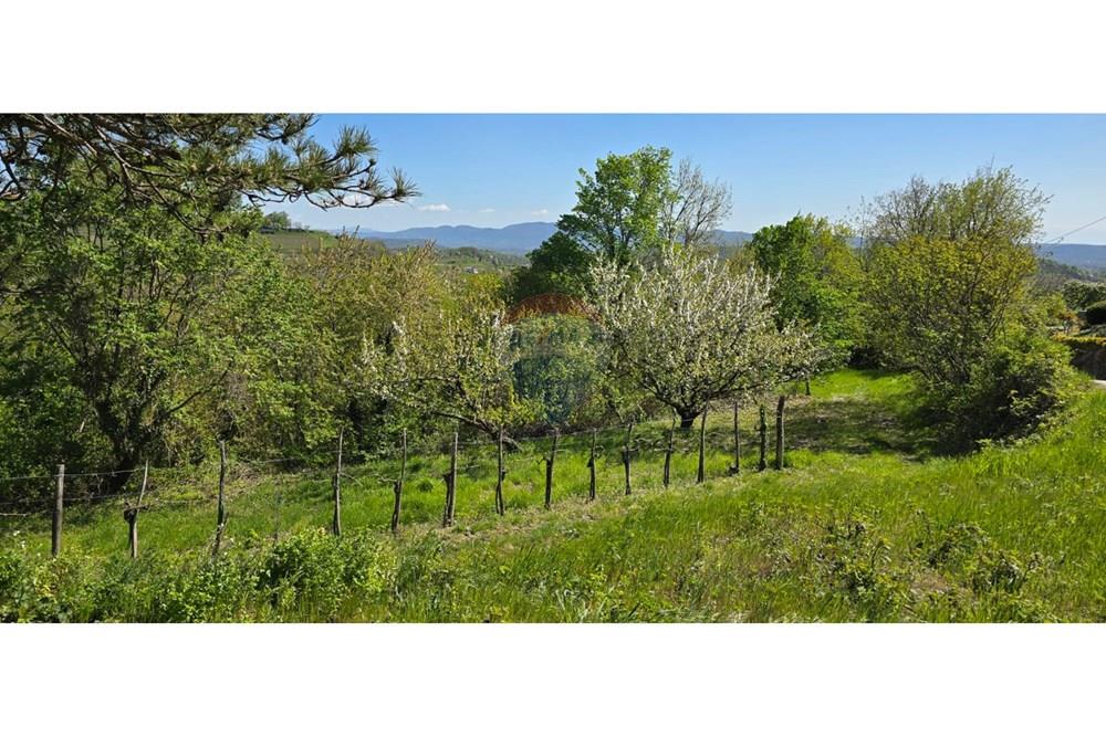 Residential - Plot of Land for Hospitality Development - Brda, North Primorska region - SI - IMG-20250407-WA0000.jpg - 490371006-124