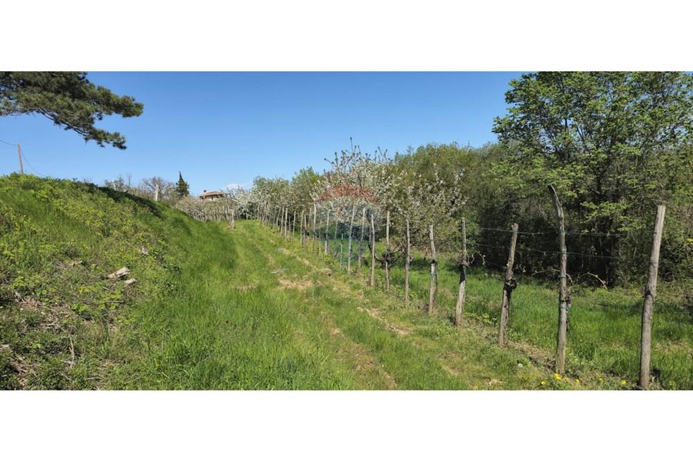 Residential - Plot of Land for Hospitality Development - Brda, North Primorska region - SI - IMG-20250407-WA0012.jpg - 490371006-124