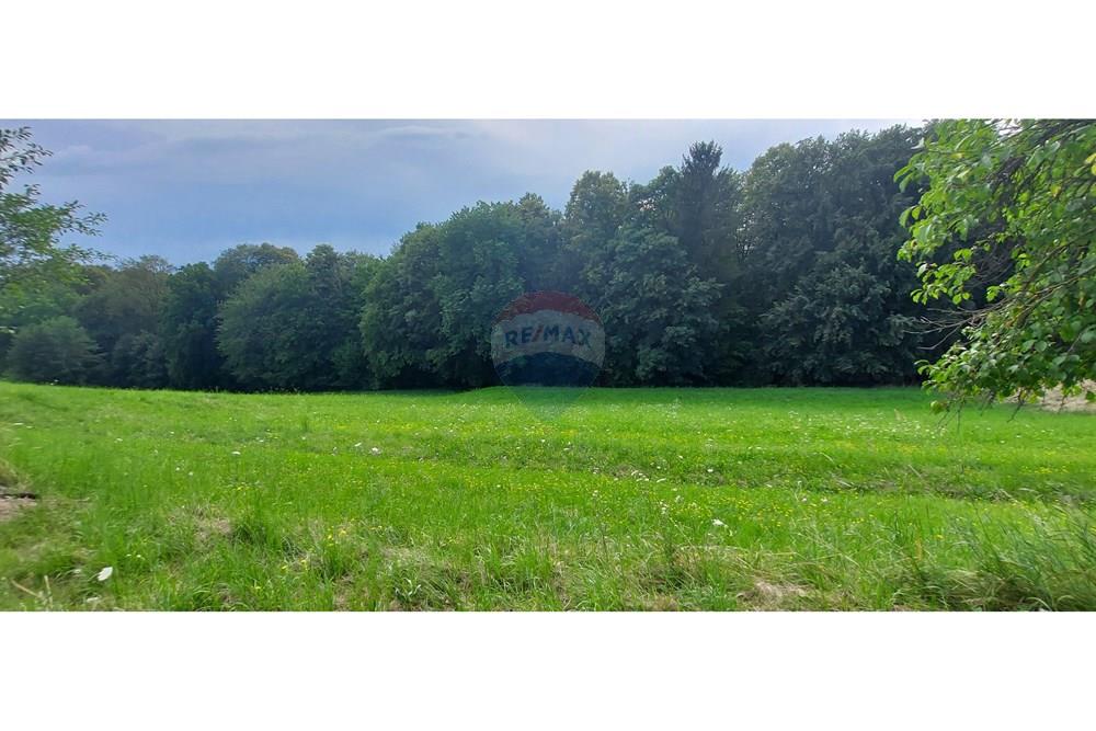 Wohnung - Bauland - Benedikt, Podravje - SI - 20220701_182205.jpg - 490321042-375