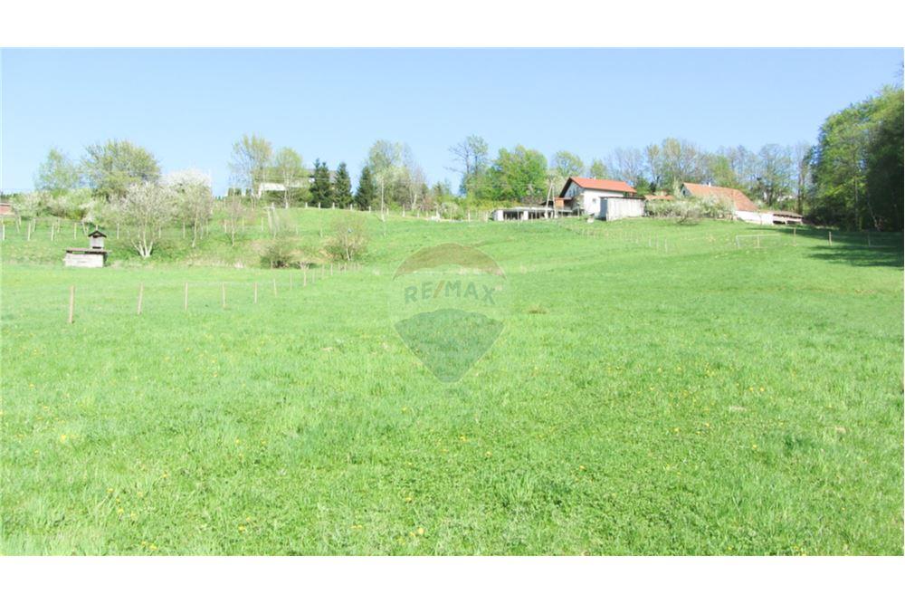 Wohnung - Boerderij - Zgornja Velka, Podravje - SI - 32 - 490321042-396
