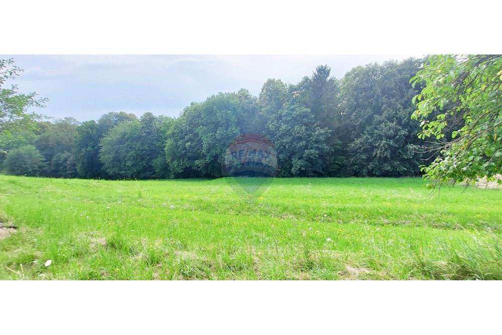 Wohnung - Bauland - Benedikt, Podravje - SI - 20220701_182205.jpg - 490321042-375