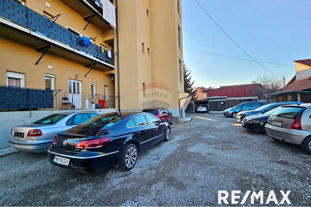 Wohnung - Wohnung - Maribor, Podravje - SI - 20250303_163839.jpg - 490321044-421