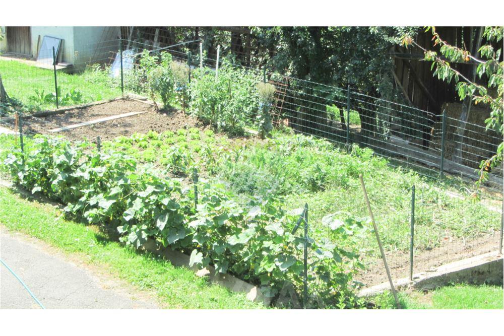 Wohnung - Boerderij - Zgornja Velka, Podravje - SI - 36 - 490321042-396