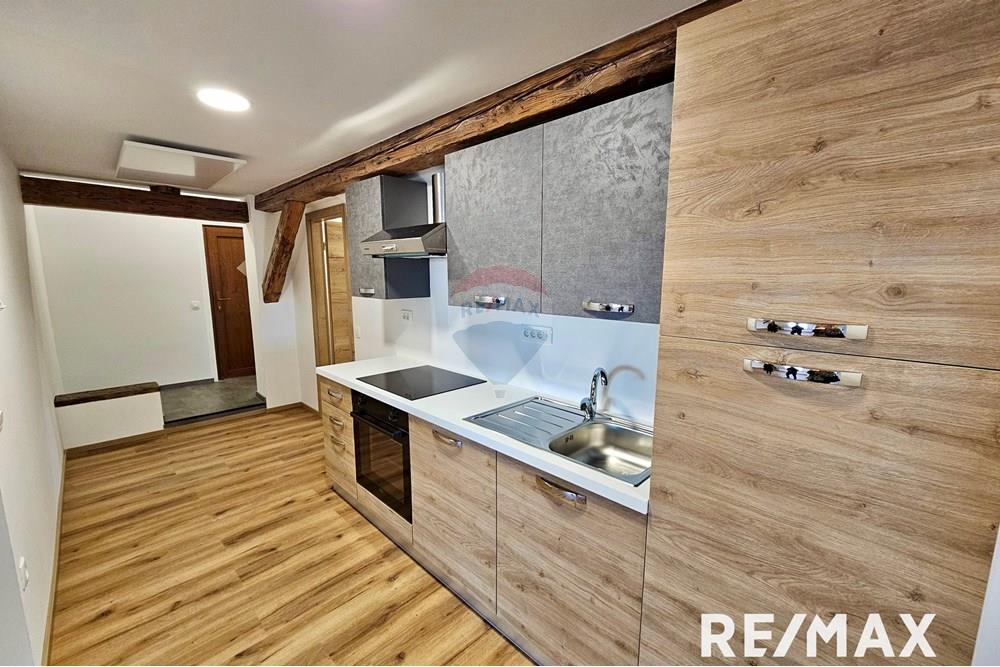 Wohnung - Wohnung - Maribor, Podravje - SI - 20250303_162921.jpg - 490321044-421