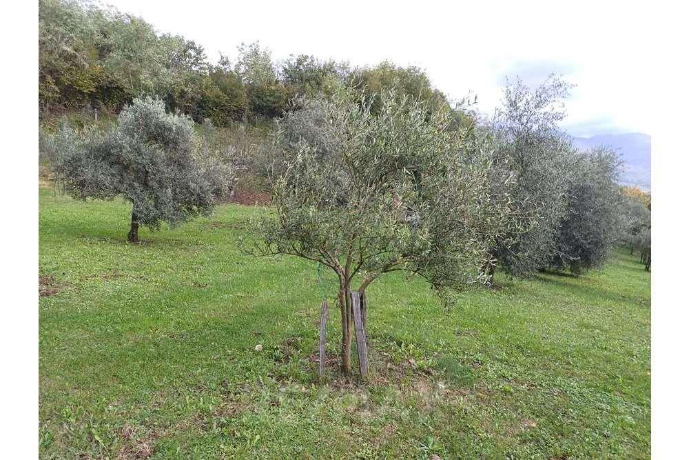 Residential - Development land - Nova Gorica, North Primorska region - SI - 20231106_120126.jpg - 490371006-134