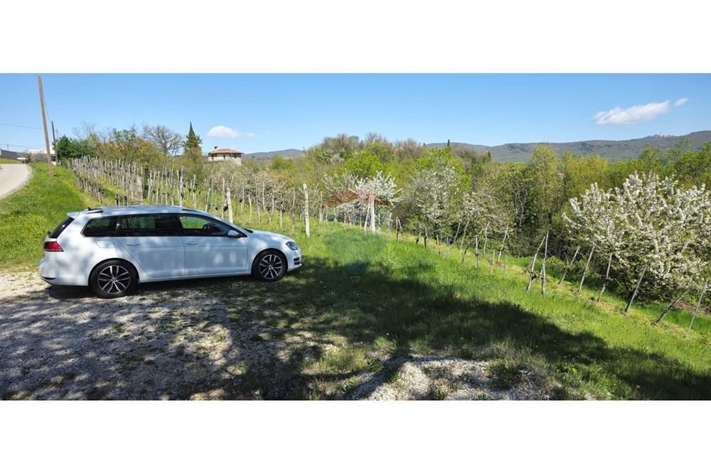 Residential - Plot of Land for Hospitality Development - Brda, North Primorska region - SI - IMG-20250407-WA0008.jpg - 490371006-124