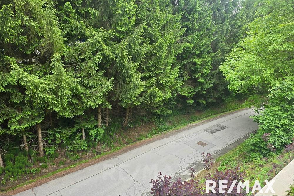 Wohnung - Bauland - Maribor, Podravje - SI - 20250507_142128.jpg - 490321062-246