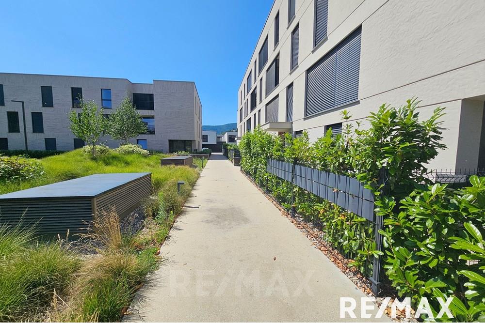 Wohnung - Wohnung - Maribor, Podravje - SI - 20250714_105513.jpg - 490321044-419