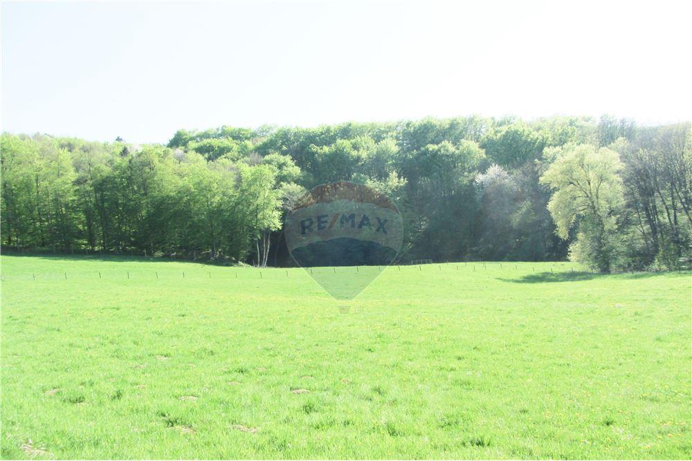 Wohnung - Boerderij - Zgornja Velka, Podravje - SI - 34 - 490321042-396