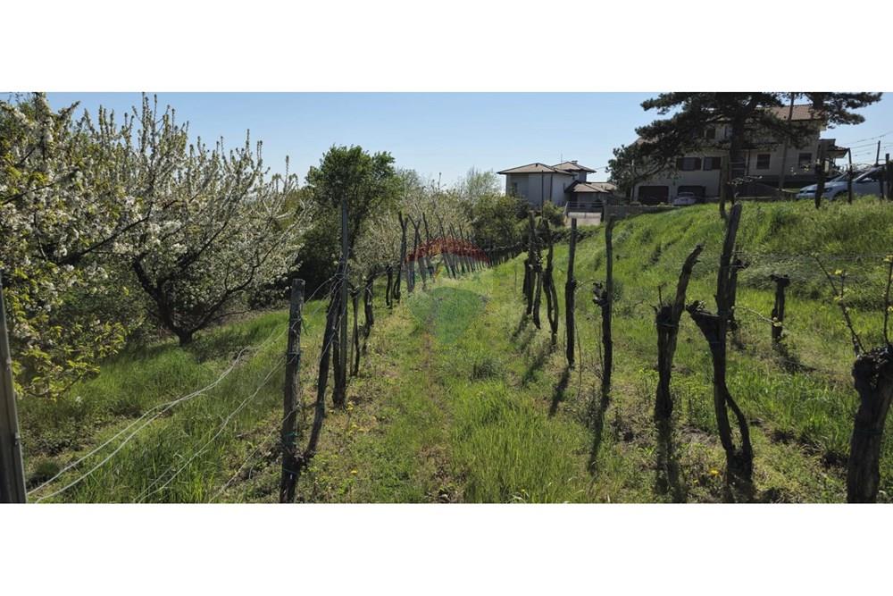 Residential - Plot of Land for Hospitality Development - Brda, North Primorska region - SI - IMG-20250407-WA0005.jpg - 490371006-124