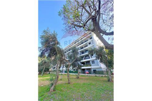 מכירה-דירה-תל אביב יפו, ישראל-51311034-149