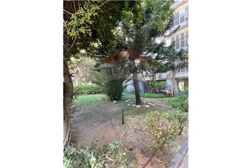 For Rent/Lease-Condo/Apartment-10 הרצפלד  - Nir Aviv  -  Tel Aviv - Jaffa, Israel-50641302-117