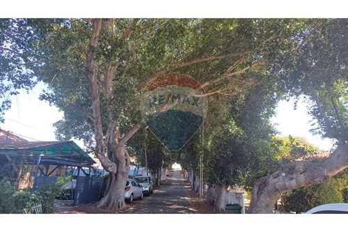 מכירה-בית פרטי-3 השניים  -  גן יבנה, ישראל-50851016-91