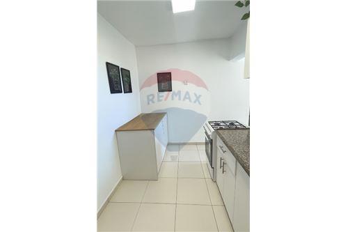 השכרה-דירה-10 הרצפלד  - ניר אביב  -  תל אביב יפו, ישראל-50641302-117