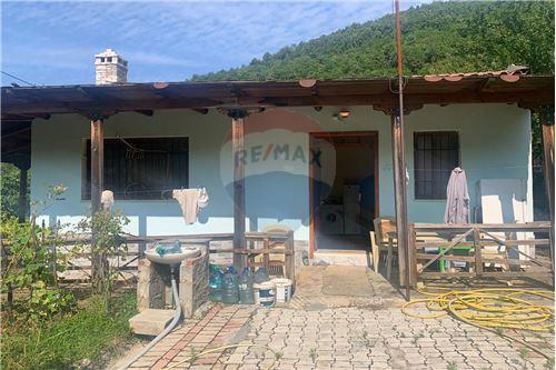 Në Shitje-Shtëpi me tarracë-Linze  -  Zone Rurale, Shqipëri-530421004-293