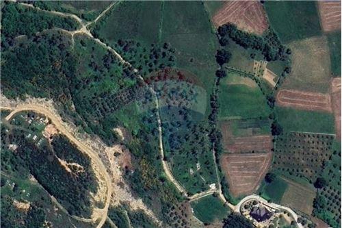 Në Shitje-Tokë-Fikas  -  Zone Rurale, Shqipëri-530191044-128